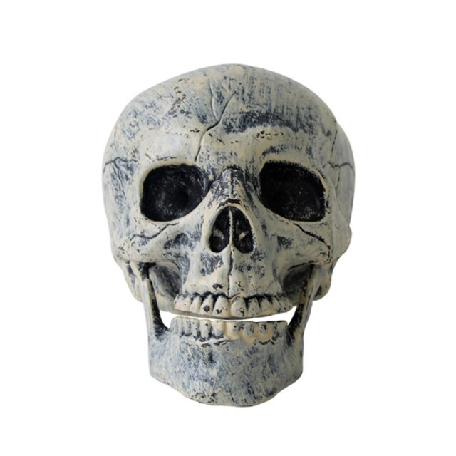 Skull Skeleton Horror Tombstone Halloween