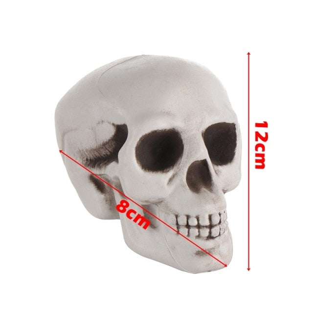 Human Skull Head Skeleton Hanging Skull