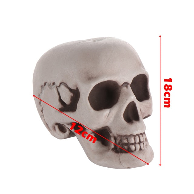 Human Skull Head Skeleton Hanging Skull