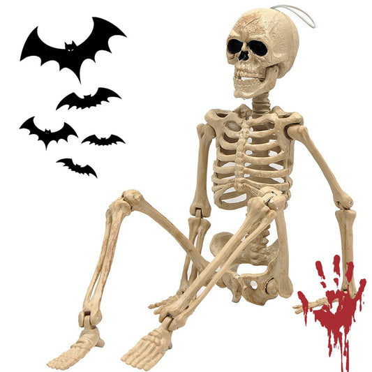 Halloween Skeleton Plastic Human Skull