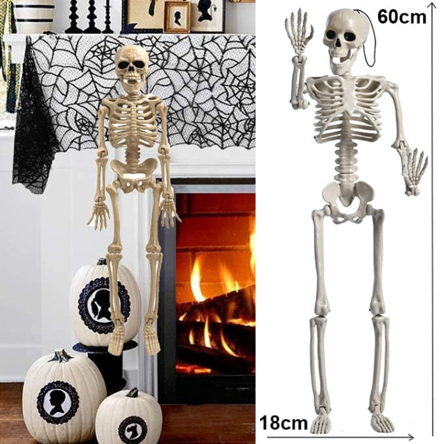 Halloween Skeleton Plastic Human Skull