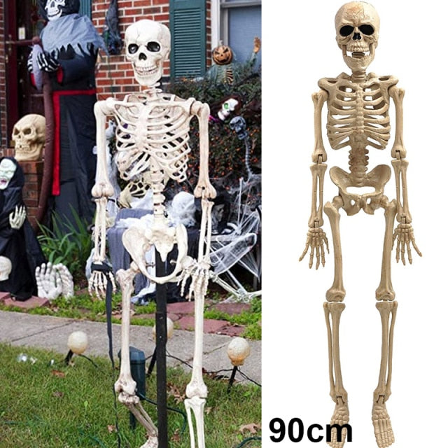 Halloween Skeleton Plastic Human Skull