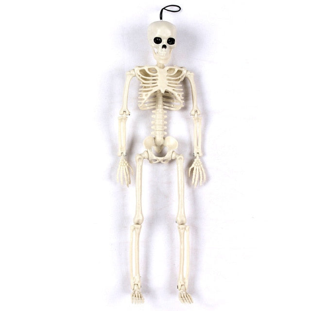 Human Skeleton For Halloween Decoration