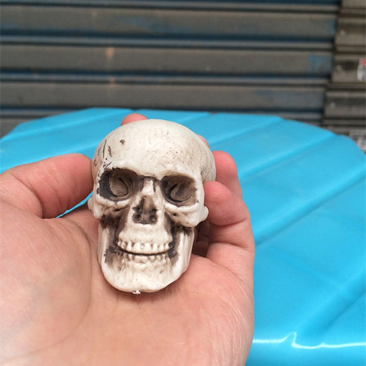 Mini Plastic Skull Head DIY Skeleton